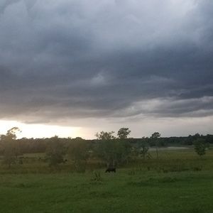 Meet your Posher, Robyn